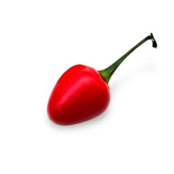 Costa Rican Chili Seeds(Costa Rican Orange Pepper Seeds)