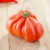 Costoluto Genovese Tomato Seeds(Castoluto Genovese Tomato) -Pepper Joe shop CostolutoGenoveseTomato