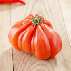 Costoluto Genovese Tomato Seeds(Castoluto Genovese Tomato)