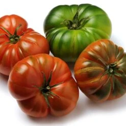 Costoluto Genovese Tomato Seeds(Castoluto Genovese Tomato) -Pepper Joe shop CostolutoGenoveseTomato3