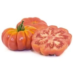 Costoluto Genovese Tomato Seeds(Castoluto Genovese Tomato) -Pepper Joe shop CostolutoGenoveseTomato4