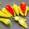Dancing Spirits F1 Pepper Seeds(Dancing Spirits F1 Pepper Seeds) -Pepper Joe shop DancingSpiritsF1