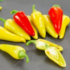 Dancing Spirits F1 Pepper Seeds(Dancing Spirits F1 Pepper Seeds)