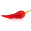 Devil's Brain Chili Pepper Seeds(Devils Brain Chili Pepper Seeds) -Pepper Joe shop DevilsBrain