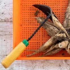 EZ-Digger Garden Tool Short Handle | 7 Inch Blade(Ez Digger Garden Tool Short Handle 7 Inch Blade) 10 EZ-Digger Garden Tool Short Handle | 7 Inch Blade(Ez Digger Garden Tool Short Handle 7 Inch Blade) -Pepper Joe shop EZ Digger Garden Tool Short Handle 7 inch Blade lifestyle In Use with Dahlia Tubers