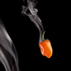 Fire In A Box Pepper Seed Collection(Fire In A Box)