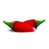 Firecracker Chili Pepper Seeds(Firecracker Chili Seeds) 2 Firecracker Chili Pepper Seeds(Firecracker Chili Seeds) -Pepper Joe shop Firecracker