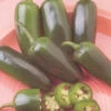 Fooled You Jalapeno Pepper Seeds(Fooled You Jalapeno Pepper Seeds) 1 Fooled You Jalapeno Pepper Seeds(Fooled You Jalapeno Pepper Seeds) -Pepper Joe shop Fooled You Pepper Seeds.01