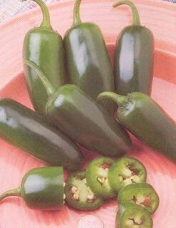 Fooled You Jalapeno Pepper Seeds(Fooled You Jalapeno Pepper Seeds)