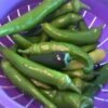 Fushimi Sweet Pepper Seeds(Fushimi Sweet) 1 Fushimi Sweet Pepper Seeds(Fushimi Sweet) -Pepper Joe shop Fushimi sweet pepper 2 pepper joes