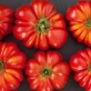 German Johnson Tomato Seeds(German Johnson Tomato) -Pepper Joe shop GermanJohnson2