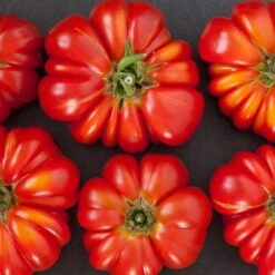 German Johnson Tomato Seeds(German Johnson Tomato)