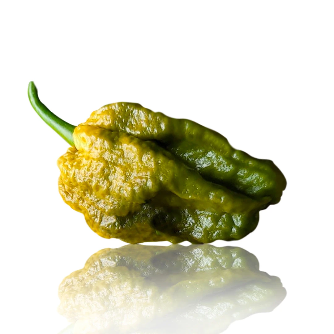 Mustard Ghost (Bhut Jolokia) Pepper Seeds(Mustard Bhut Jolokia Chili Pepper Seeds) 3 Mustard Ghost (Bhut Jolokia) Pepper Seeds(Mustard Bhut Jolokia Chili Pepper Seeds)