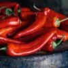 Goat Horn Pepper Seeds(Goat Horn Pepper Seeds) -Pepper Joe shop Goat Horn