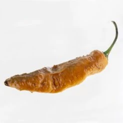 Gold Ghost Pepper Seeds(Gold Ghost Pepper Seeds)