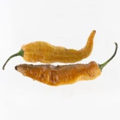 Front Page -Pepper Joe shop Gold Ghost.02