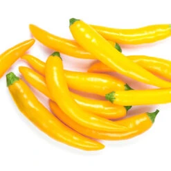 Cayenne Golden Pepper Seeds(Cayenne Golden Pepper Seeds)