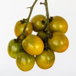 Green Grape Tomato Seeds(Green Grape Tomato Seeds)