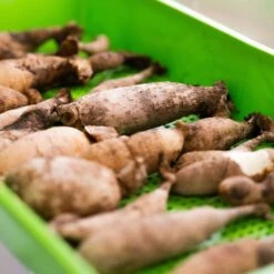 1020 Mesh Deep Extra Strength Colors - 2.5" Deep(1020 Mesh Deep Extra Strength Colors 2 5 Deep) 16 1020 Mesh Deep Extra Strength Colors - 2.5" Deep(1020 Mesh Deep Extra Strength Colors 2 5 Deep) -Pepper Joe shop GreenDeepMeshUsedAsStrainer