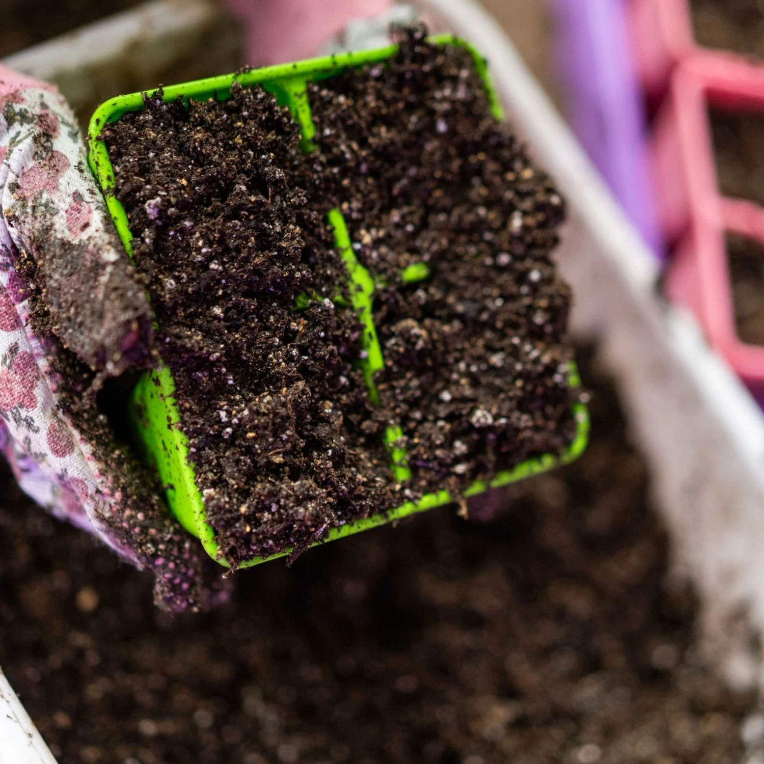 4 Cell Plug Tray Inserts(4 Cell Plug Tray Inserts) 18 4 Cell Plug Tray Inserts(4 Cell Plug Tray Inserts) - Image 16