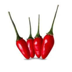 Guam Boonie Pepper Seeds (Non-Isolated)(Guam Boonie)