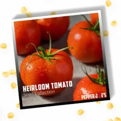 Pepper Joe's Heirloom Tomato Seed Collection(Heirloom Tomato Set) -Pepper Joe shop Heirloom Tomato Seed Collection.02
