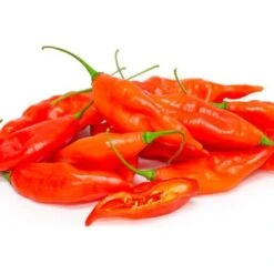 Hot Paper Lantern Pepper Seeds(Hot Paper Lantern Pepper Seeds) 7 Hot Paper Lantern Pepper Seeds(Hot Paper Lantern Pepper Seeds) -Pepper Joe shop HotPaperLantern Web