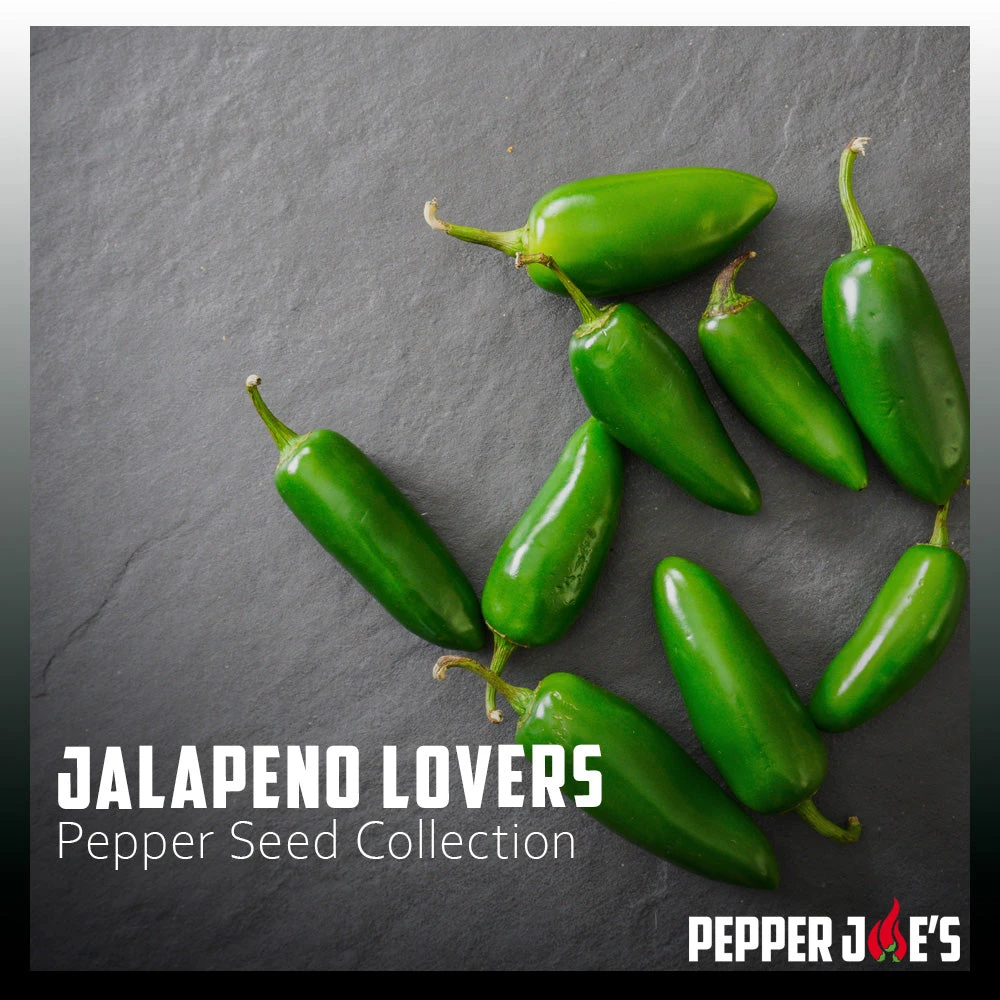 Jalapeno Lovers Pepper Seed Collection(Jalapeno Lovers 5 Pack) 4 Jalapeno Lovers Pepper Seed Collection(Jalapeno Lovers 5 Pack) - Image 2