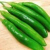Korean Beauty Cucumber Pepper Seeds(Korean Beauty Cucumber Pepper Seeds) -Pepper Joe shop Korean Beauty Cucumber