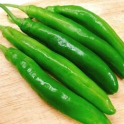 Korean Beauty Cucumber Pepper Seeds(Korean Beauty Cucumber Pepper Seeds)