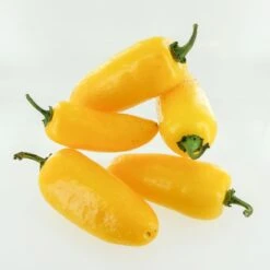 Lemon Spice Jalapeno Pepper Seeds(Lemon Spice Jalapeno Pepper Seeds)