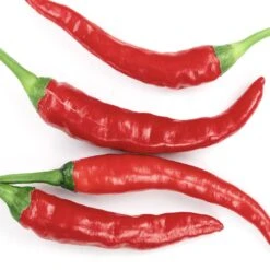 Long Red Thick Cayenne Pepper Seeds(Long Red Thick Cayenne Pepper Seeds)