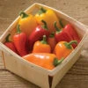 Lunchbox Mix Pepper Seeds(Lunchbox Mix Pepper Seeds) -Pepper Joe shop LunchBoxMix
