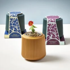 Flower Grow Kits(Flower Grow Kits)