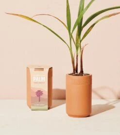 Terracotta Grow Kits(Terracotta Grow Kits) 14 Terracotta Grow Kits(Terracotta Grow Kits) -Pepper Joe shop MS TE 1005 GR