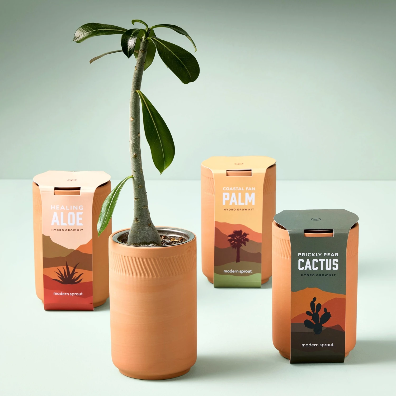Terracotta Grow Kits(Terracotta Grow Kits) 3 Terracotta Grow Kits(Terracotta Grow Kits)