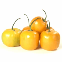 Manzano Yellow Pepper Seeds(Manzano Yellow Pepper Seeds)