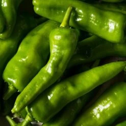 Melrose Hot Pepper Seeds(Melrose Pepper Seeds)