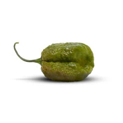 Pepper "B" Mustard Pepper Seeds(Pepper B Mustard Pepper Seeds)