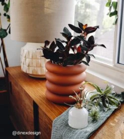 Misters(Misters) -Pepper Joe shop Mister SocialProof