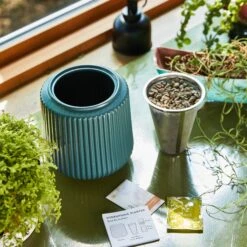 Flower Grow Kits(Flower Grow Kits) -Pepper Joe shop ModernSprout 8.19 026