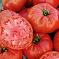 Mortgage Lifter Tomato Seeds(Mortgage Lifter Tomato Seeds)