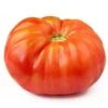 Napa Giant Tomato Seeds(Napa Giant Tomato) 2 Napa Giant Tomato Seeds(Napa Giant Tomato) -Pepper Joe shop NapaGiant
