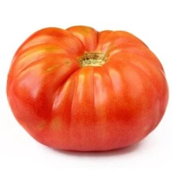 Napa Giant Tomato Seeds(Napa Giant Tomato)