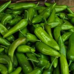 NuMex Pepper Seed Collection(Numex Pepper Seed Collection)