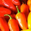 NuMex Pinata Pepper Seeds(Numex Pinata Pepper Seeds) -Pepper Joe shop Numex Pinata