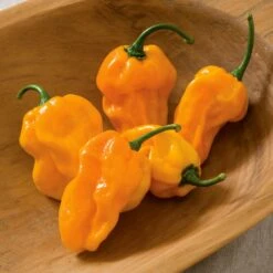 NuMex Suave Orange Pepper Seeds(Numex Suave Orange Pepper Seeds)