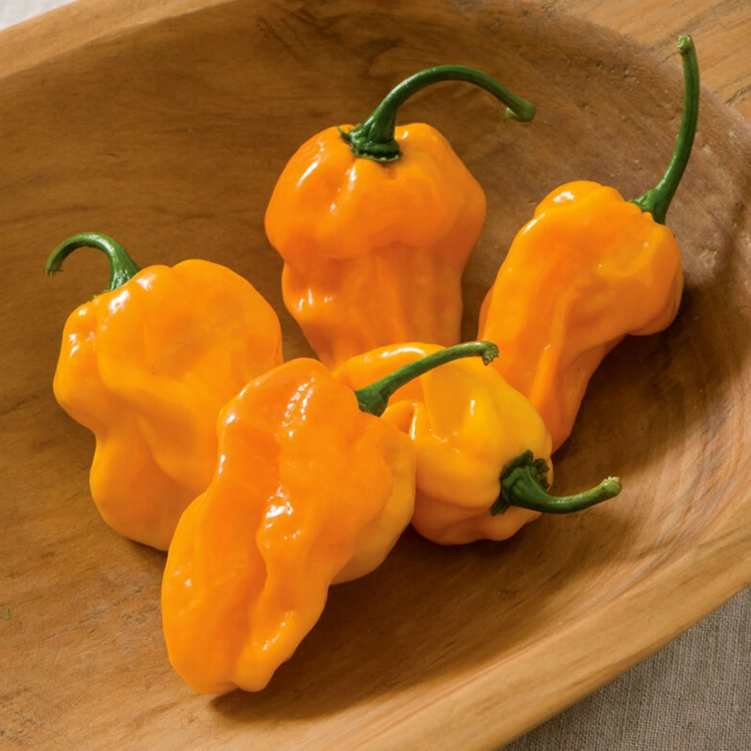 NuMex Suave Orange Pepper Seeds(Numex Suave Orange Pepper Seeds) 3 NuMex Suave Orange Pepper Seeds(Numex Suave Orange Pepper Seeds)