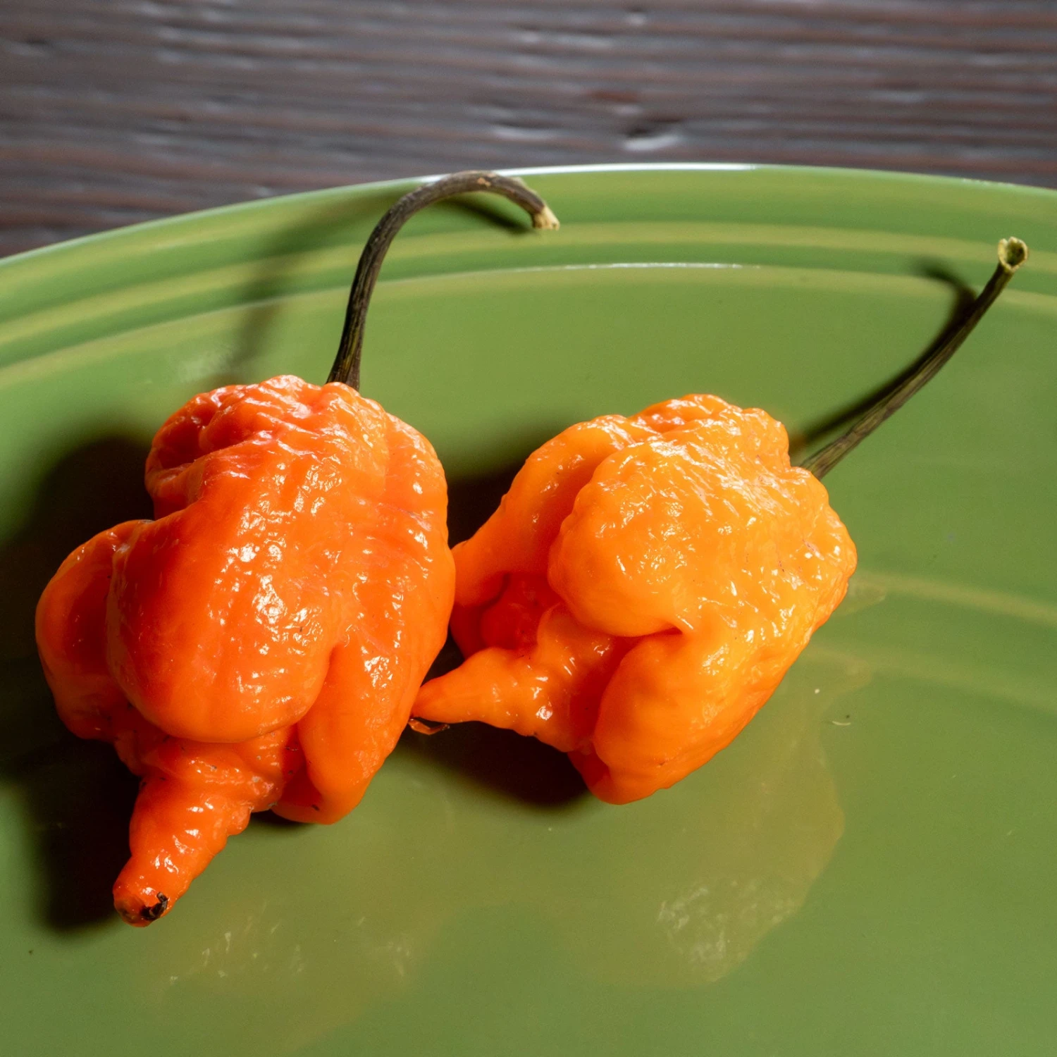 Orange Carolina Reaper Pepper Seeds(Orange Carolina Reaper Pepper Seeds) 5 Orange Carolina Reaper Pepper Seeds(Orange Carolina Reaper Pepper Seeds) - Image 3