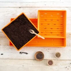 1010 Microgreens Kit(1010 Microgreens Kit) -Pepper Joe shop Orange 1010 Microgreens Kit Lifestyle